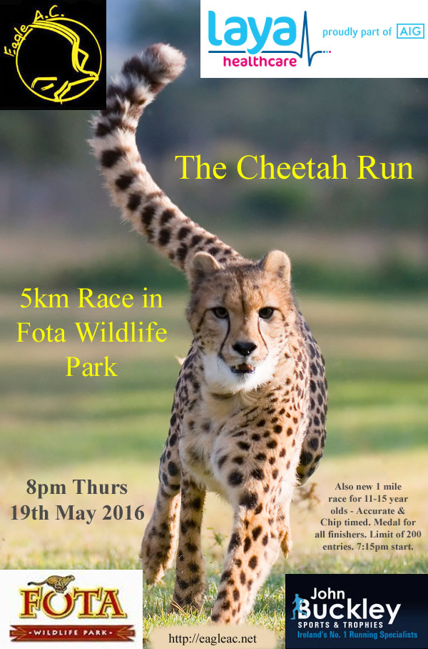 Eagle AC's The Cheetah Run 5k and 1 Mile Race -  2016 Flyer