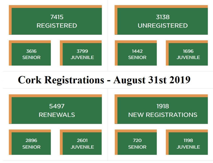 cork registrations august 2019