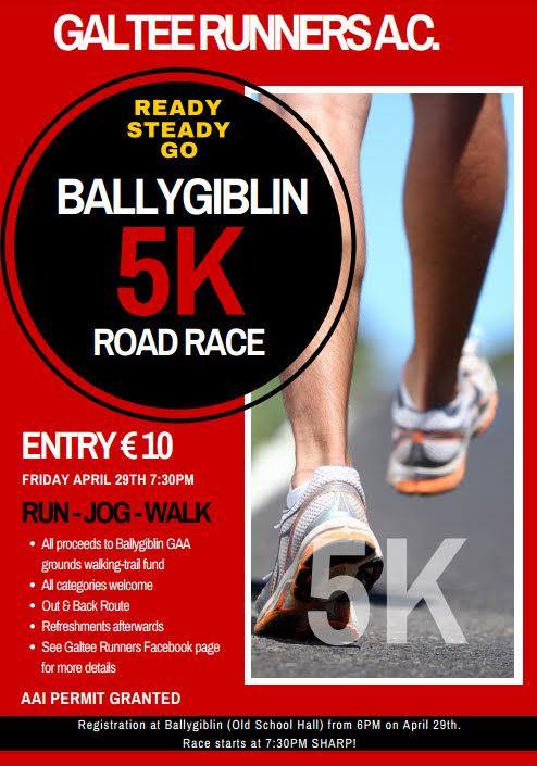 Ballygiblin 5k Road Race Flyer 2016