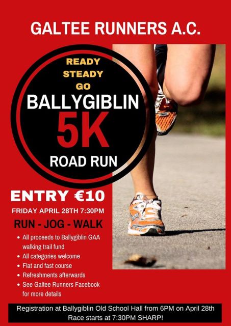Ballygiblin 5k Road Race Flyer 2017s
