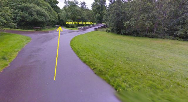 Doneraile Park 5k - Start Area