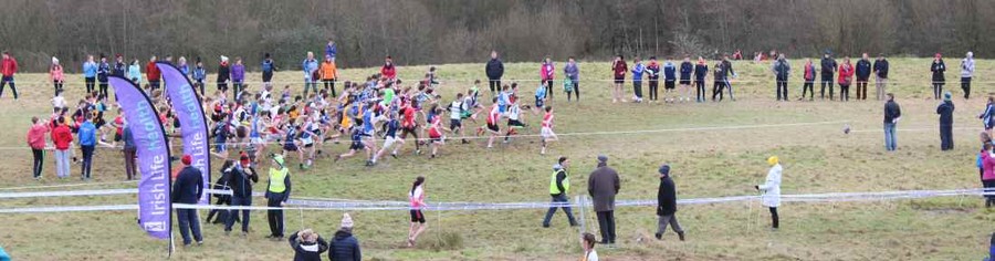 Munster Schools Cross Country Minor Boys Start 2017