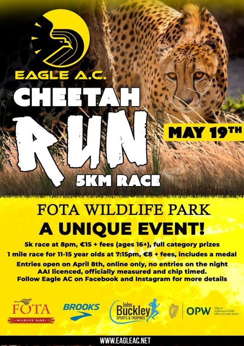 cheetah run 5k flyer 2022