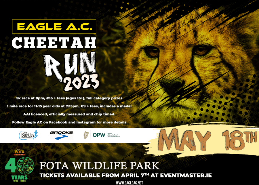 cheetah run flyer 2023s