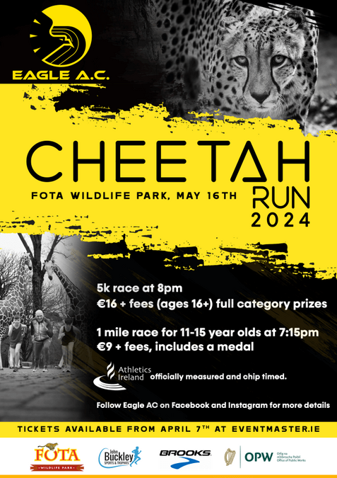 cheetah run flyer 2024a