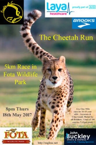 Cheetah Run Flyer 2017a