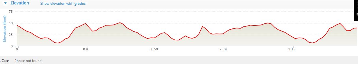 The Cheetah Run - Course Elevation Profile