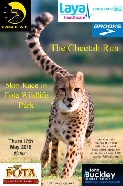 cheetah run flyer 2018