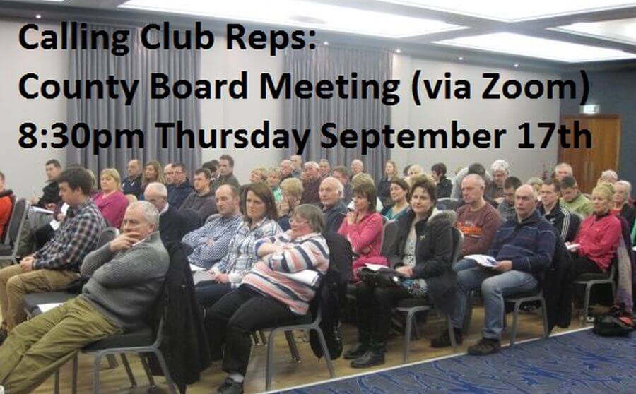 cork aai reps zoom meeting notice sept 2021