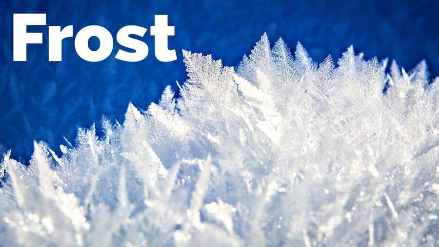 frost image