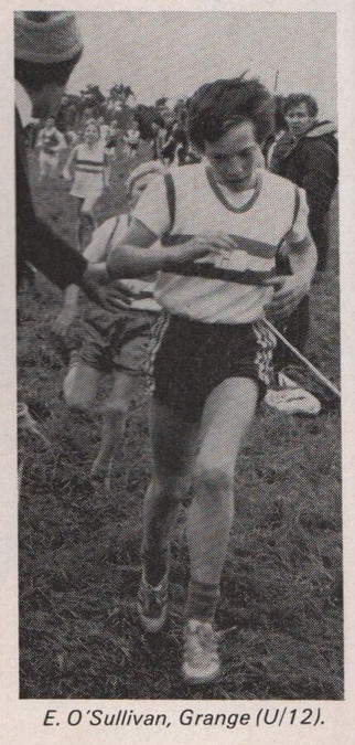 cork county bloe u 12 boys cross country championships 1985 e o sullivan