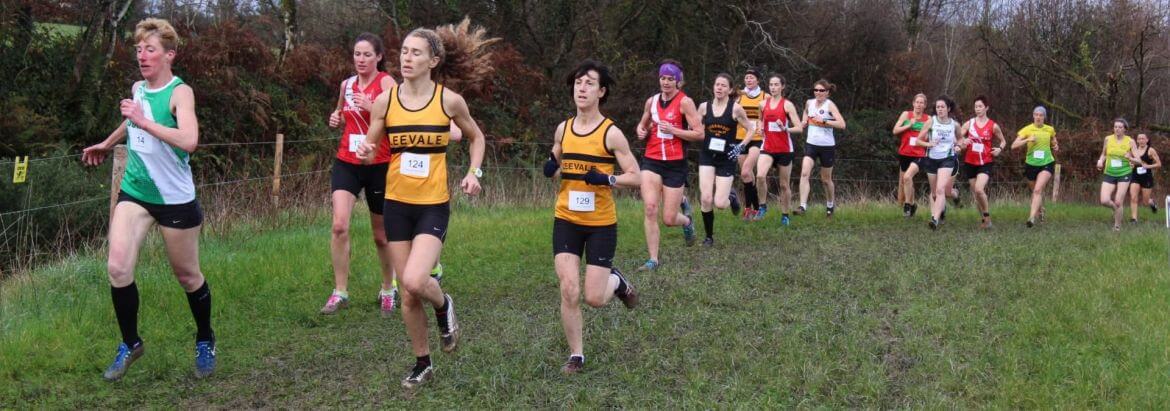 Munster Masters Women's XC Chps